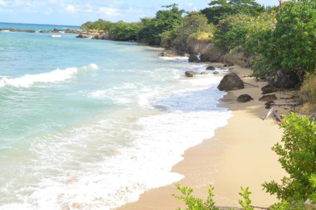 Welcome To Our Ocean View Villa! Lucea Exterior foto
